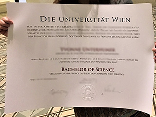 Is it possible to purchase a fake University of Vienna degree online?