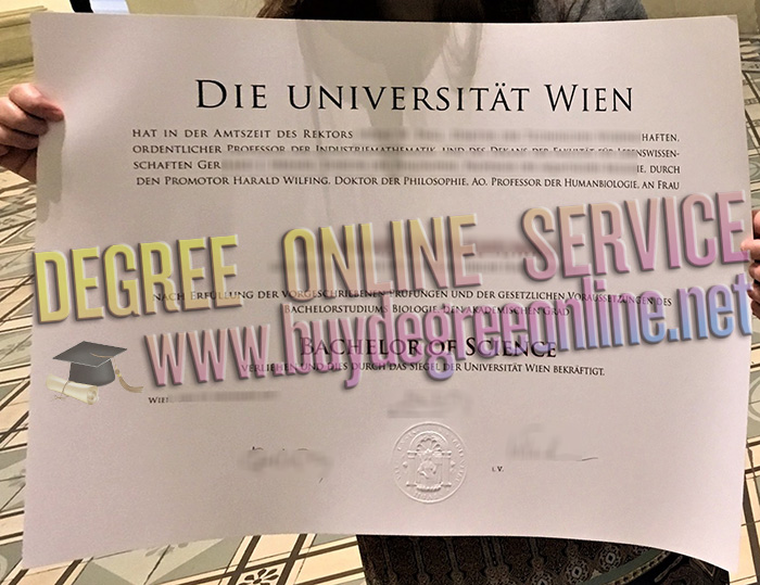 University of Vienna degree