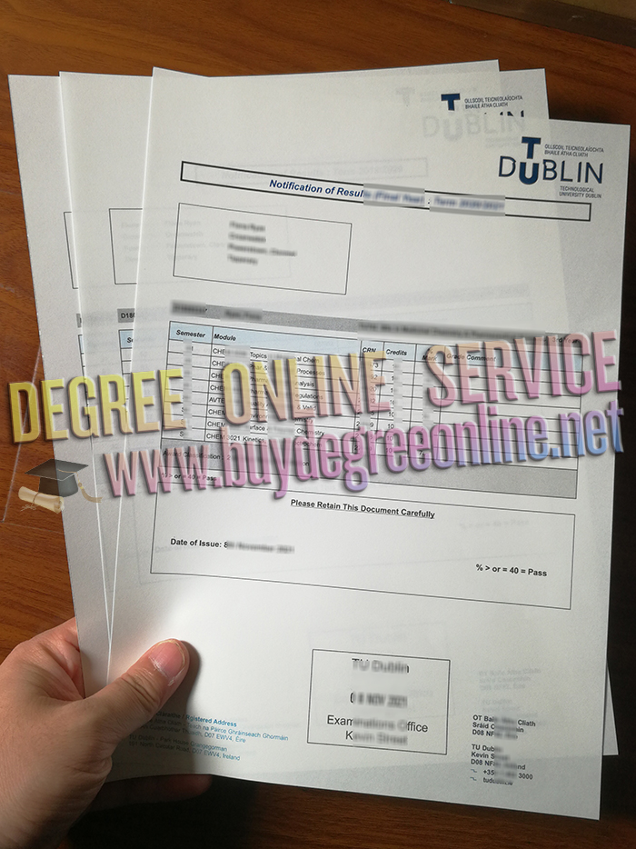 Technological University Dublin transcript