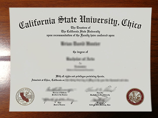 Top tips for buying a fake California State University Chico degree online