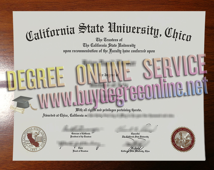 California State University Chico degree