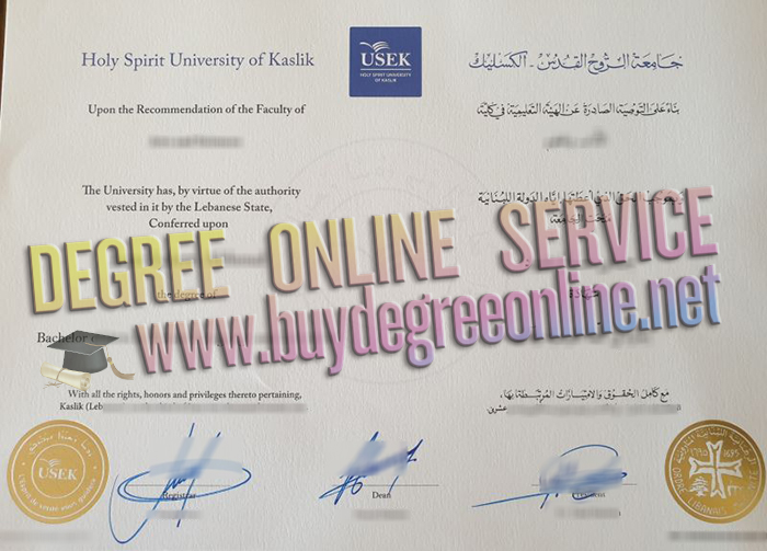 Holy Spirit University of Kaslik diploma