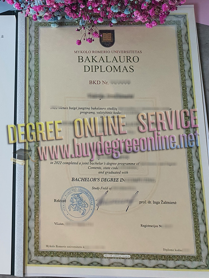 Mykolas Romeris University degree