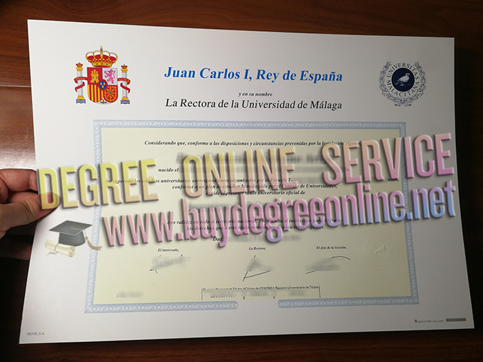 Universidad de Málaga degree