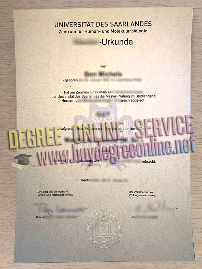 Saarland University degree