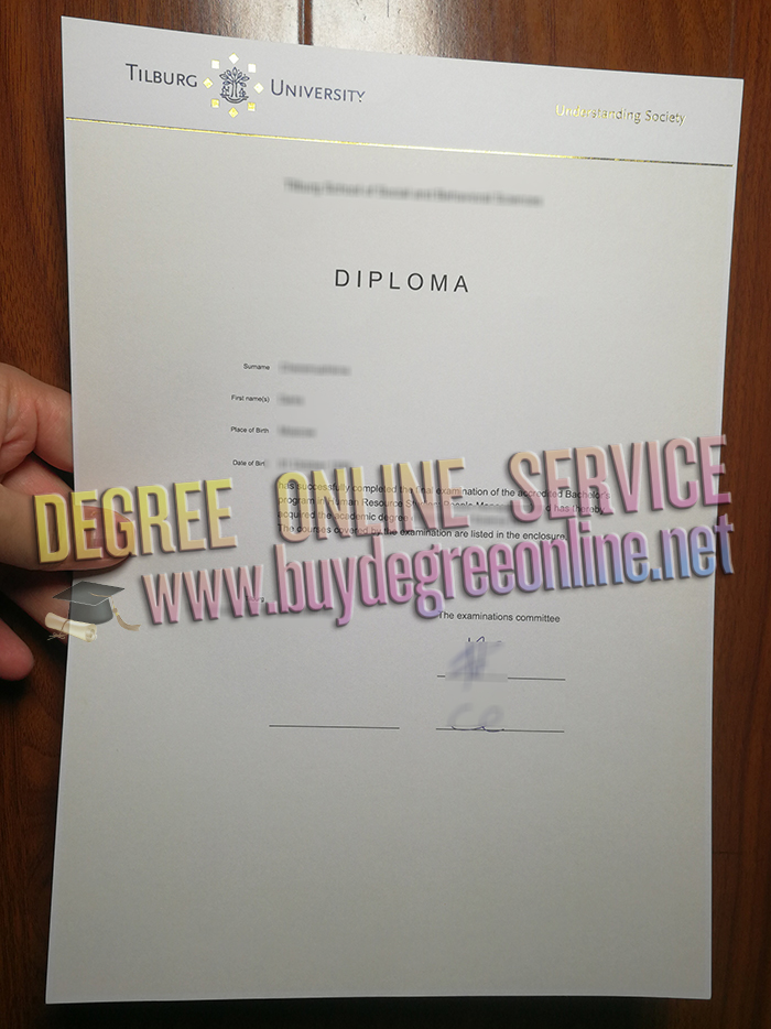 Tilburg University diploma