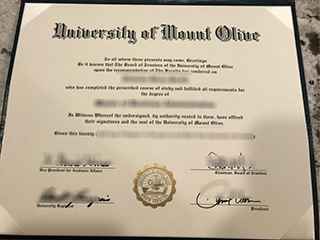 Can I get a realistic University of Mount Olive degree online?