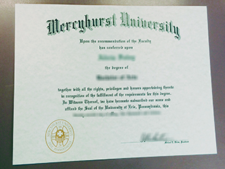 Where to get a fake Mercyhurst University degree online