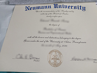 Is it possible to buy a fake Neumann University degree in 2023?