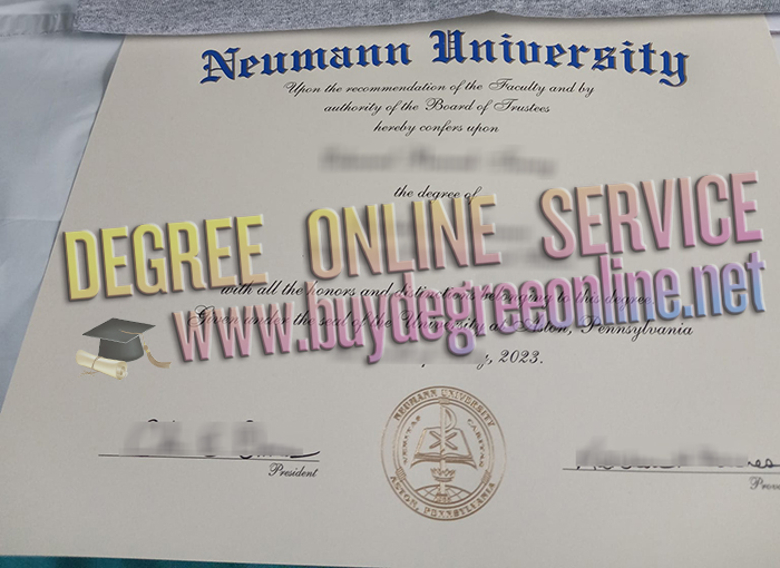 Neumann University diploma