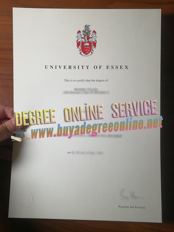 University of Essex degree