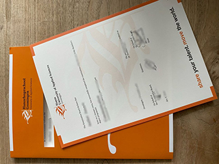 Where to obtain a fake Hanze University of Applied Sciences diploma