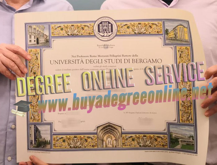 University of Bergamo degree