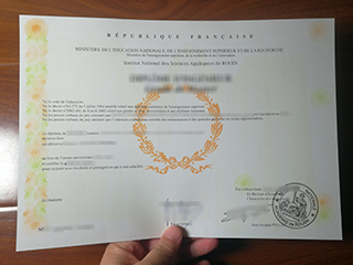 Is it possible to get a fake INSA Rouen degree in France?