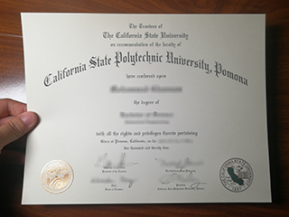 I want to order a realistic Cal Poly Pomona diploma certificate in 2024