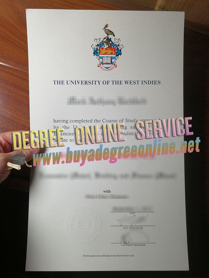 University of the West Indies diploma