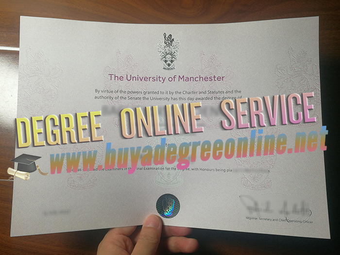 University of Manchester degree