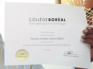 Where can I order a Collège Boréal diploma certificate in 2024?