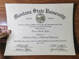 The best way to buy a Montana State University diploma online