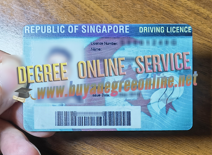 Singapore Driving Licence