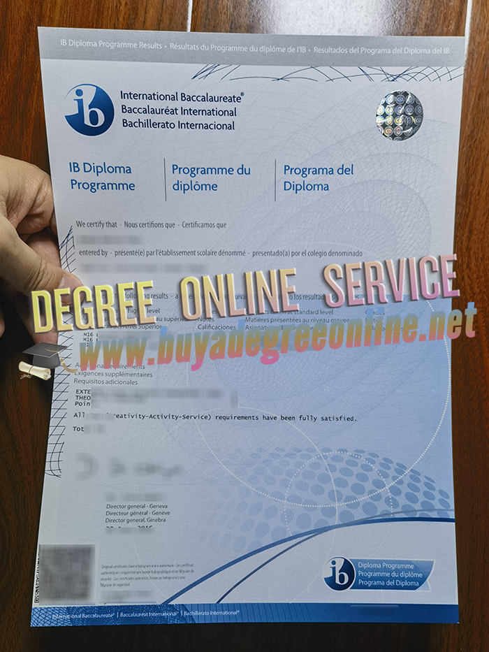 IB diploma