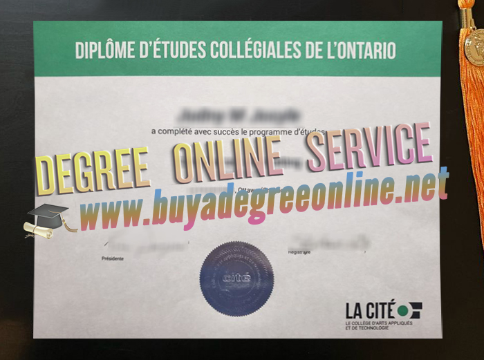 La Cité Collégiale certificate