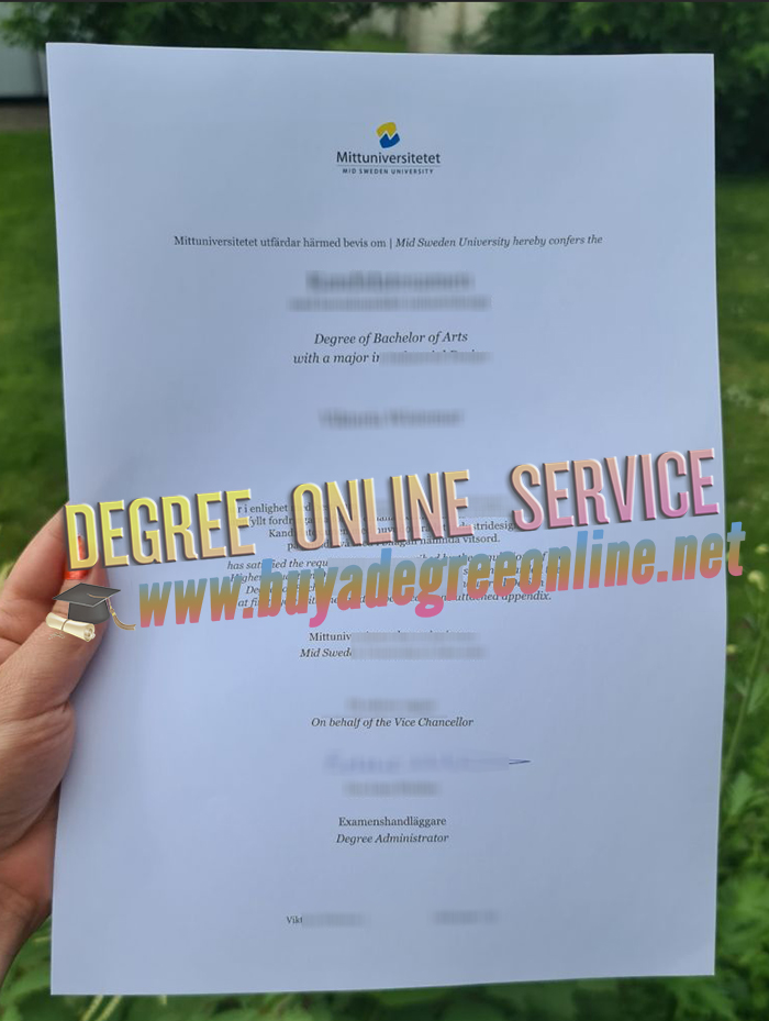 Mid Sweden University degree