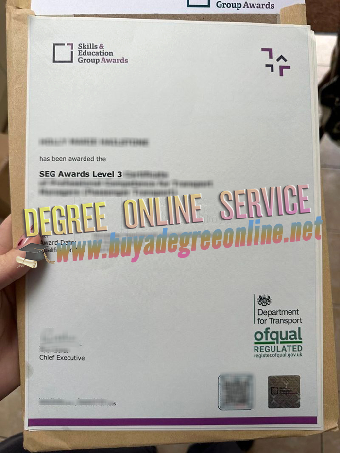 SEG level 3 diploma