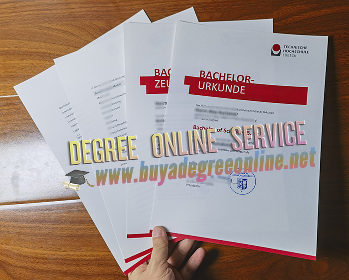 Technische Hochschule Lübeck diploma and transcript