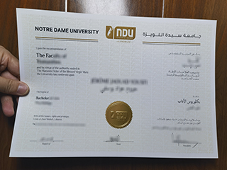 I would like to get Notre Dame University–Louaize diploma in Lebanon