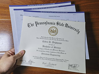 Looking for Pennsylvania State University diploma and transcript